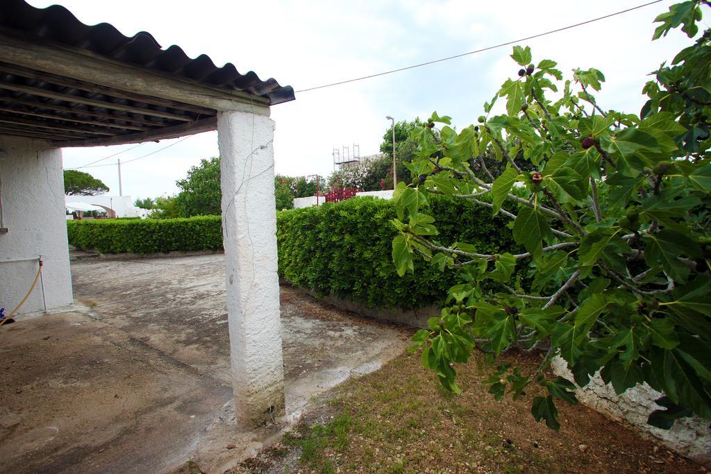 Paradise Patu Ngoại thất bức ảnh